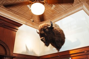 131113164211-ted-portrait-08-custom-1[1]