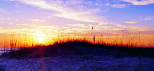 dunes2_copy__flexslider[1]