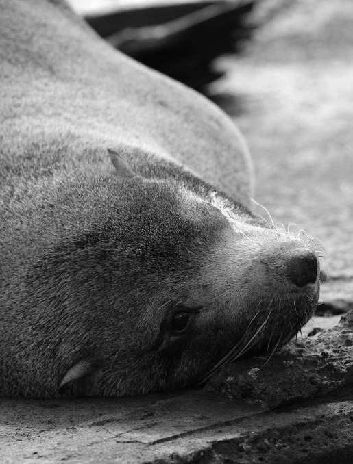 r0_0_2618_3449_w1200_h678_fmax[1]