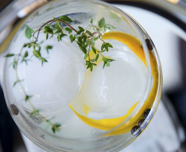 st-germain-gin-tonic-Slide2[1] (622x508) (622x508)