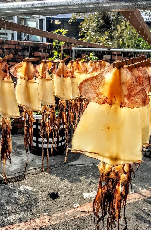 20170111_103556_thumb[1][1]