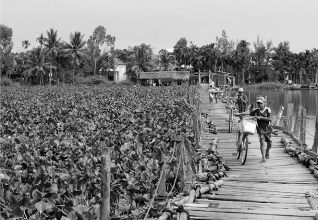 floating-bridge-at-tra-nhieu-village-263[1]
