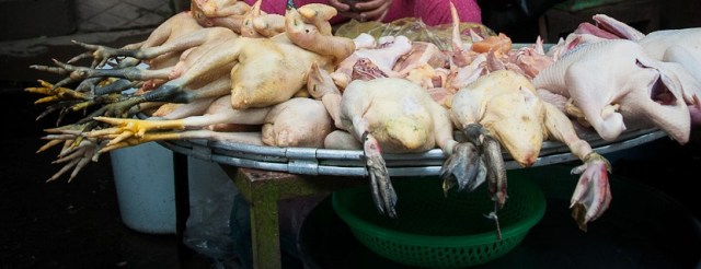 poultry-vendor-mekong-river-vietnam[1]