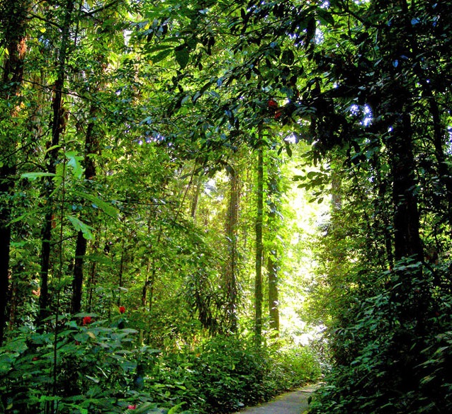 penang-botanic-garden2[1]