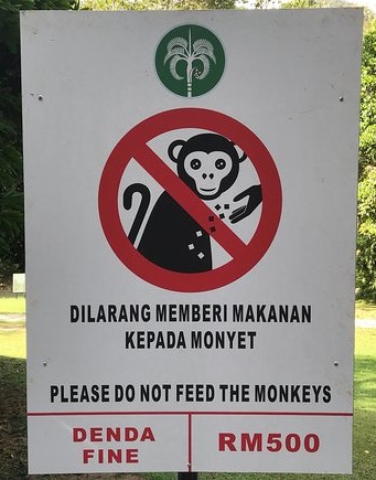 penang-botanical-gardens[1]