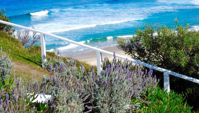 lavender-waves-sugarloaf-lighthouse-accommodation-3[1]