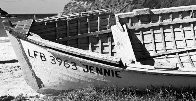 seal-rocks-at-reader-jill-graham[1]