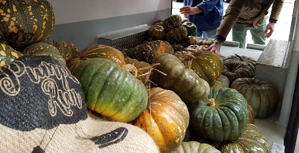 35695438_1872492386147012_8215014492866609152_n[1]