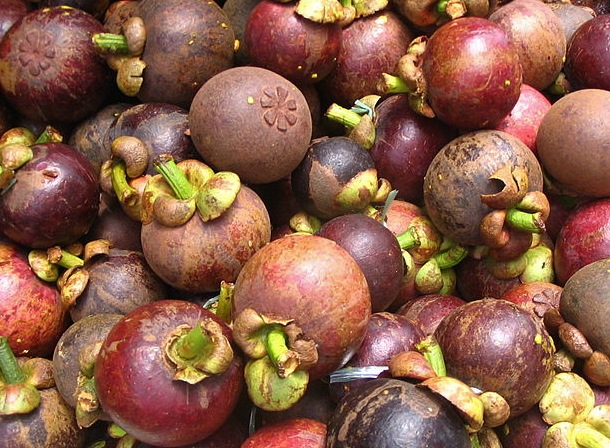 800px-Mangoustans[1]