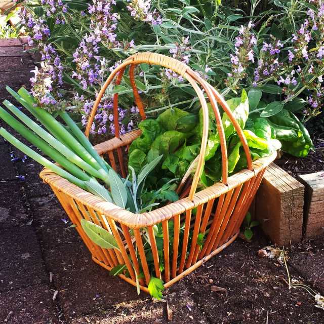 IMG_20201006_094035_732